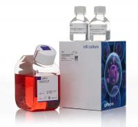 ExpiFectamine™ 293 Transfection Kit