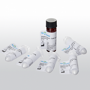 CyStain Yeast Control - Cell Cycle